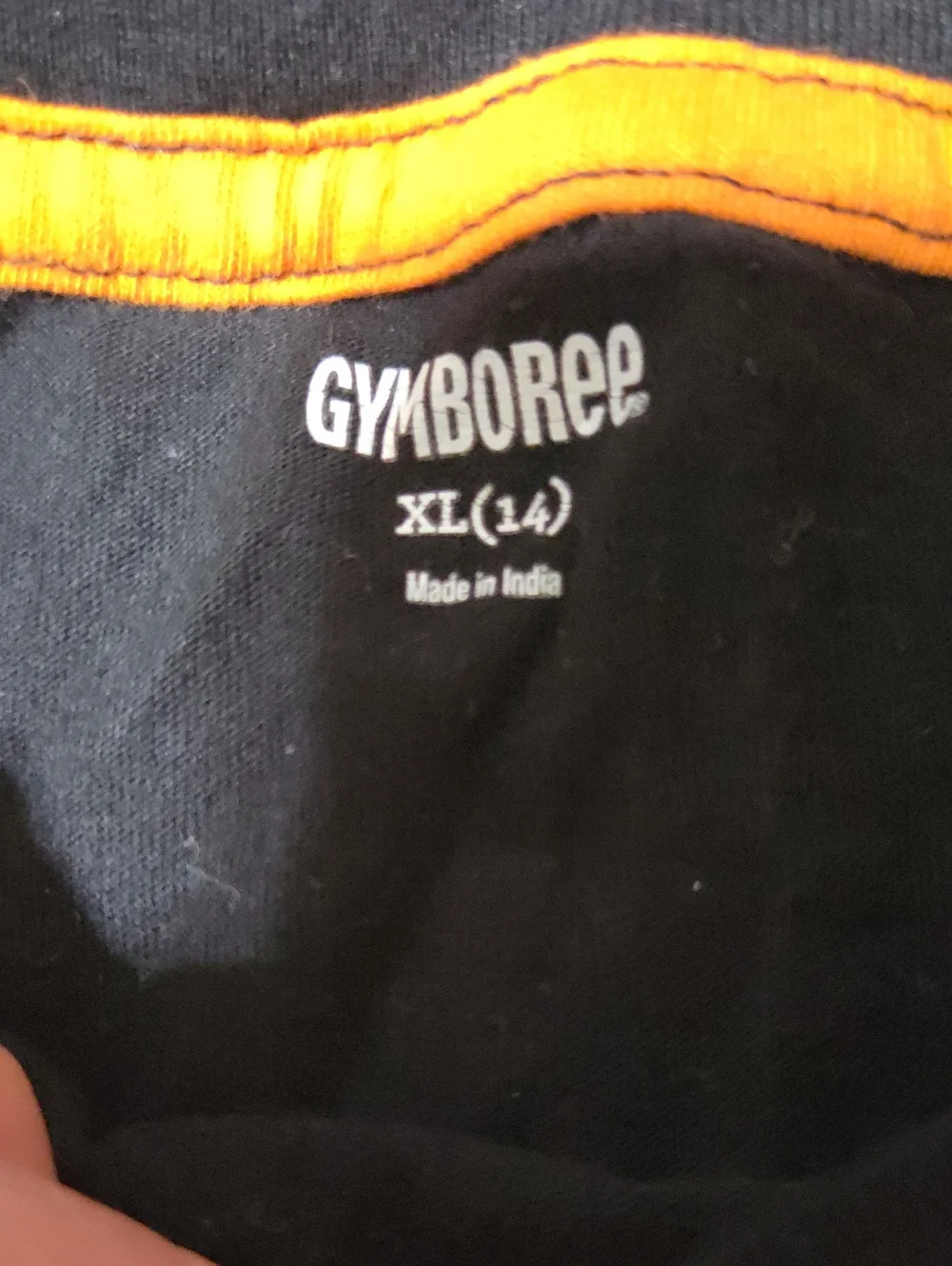 Gymboree Jurastic World 24 Black Dinosaur Graphic Tee - Black